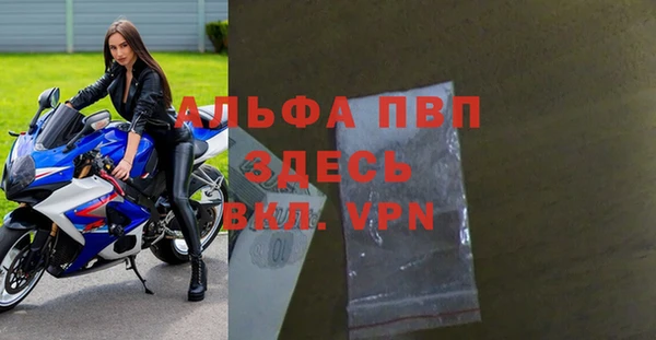 спиды Шали
